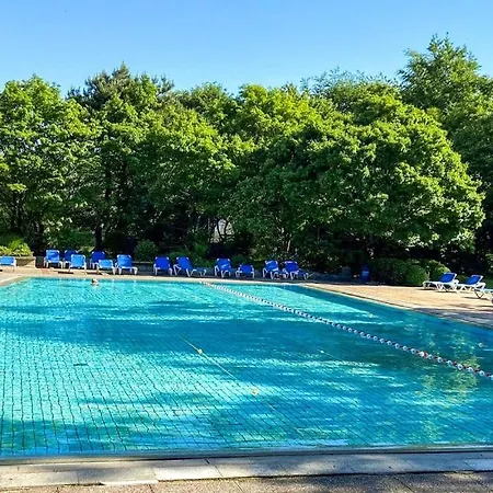Daire Meerzeit Mit Meerblick App 802 Timmendorfer Strand